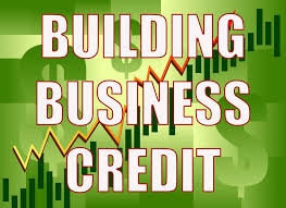The Guide To Business Credit eBook